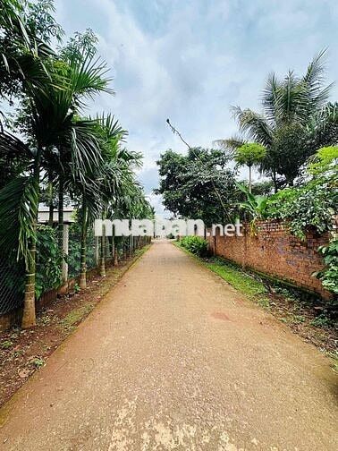 Đất mặt đường D3 Buôn Ju (6x30m) ko khuyết điểm