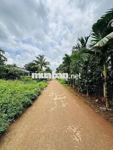 Đất mặt đường D3 Buôn Ju (6x30m) ko khuyết điểm