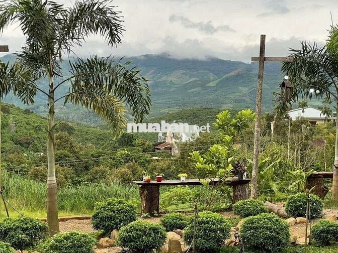 Siêu phẩm vị trí đẹp, mặt tiền đường nhựa Blaosire Đại lào