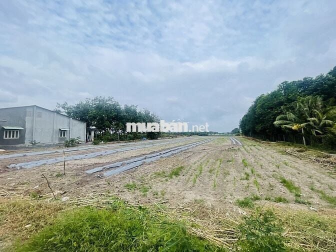 Mặt tiền đường DH9, Xã Phước Minh, Huyện Dương Minh Châu, Tây Ninh