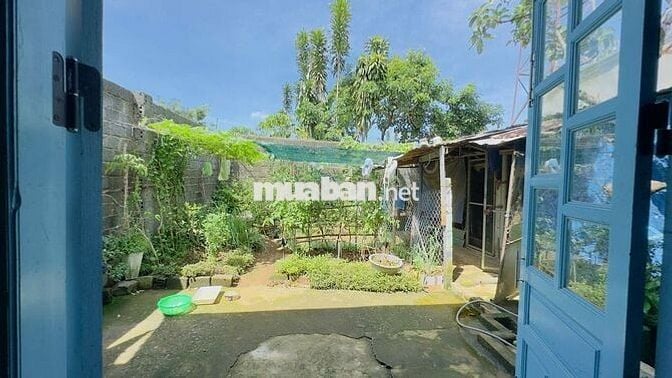 Nhà Bảo Lộc - Lê Phụng Hiểu 308m2 (8x40m) sẵn thổ cư chỉ 3.1t