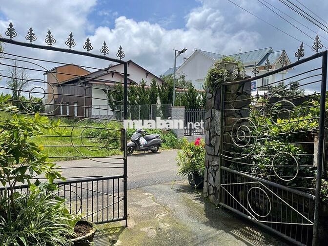 Nhà Bảo Lộc - Lê Phụng Hiểu 308m2 (8x40m) sẵn thổ cư chỉ 3.1t