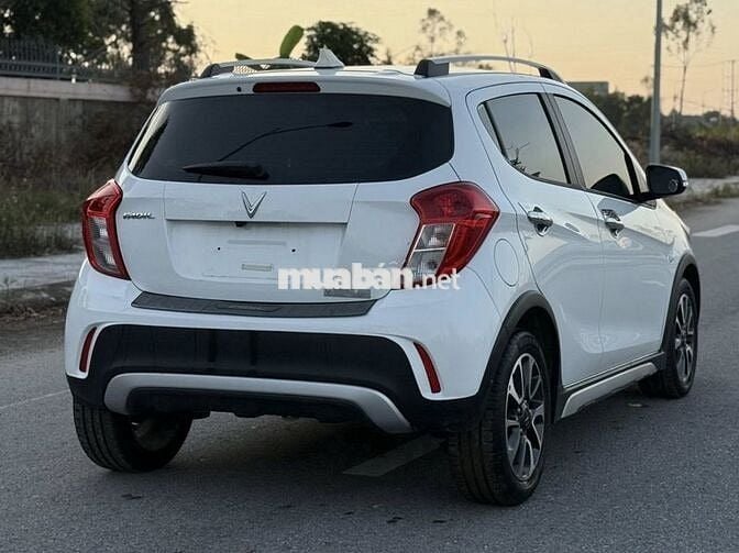 Fadil plus 2021