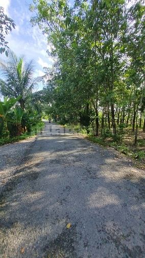 Hơn 1400m2 đường xe hơi thông. Gần trường học. 800tr