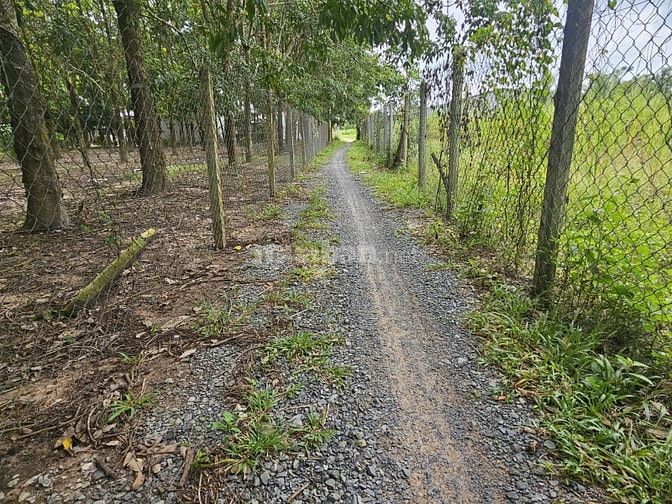 Hơn 1400m2 đường xe hơi thông. Gần trường học. 800tr