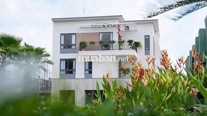 SHOPHOUSE KINH DOANH ĐỈNH LIỀN KỀ - 1 TRỆT 2 LẦU