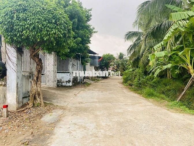 Đất Dân Cắt Bán Diên Điền , DT 141m full Thổ giá 899tr, Đường Qh 10m