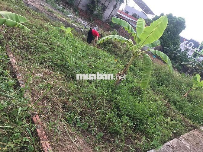 Chuyển về quê sống mình cần nhượng đất 48,9m nở hậu huyện Thanh Trì cu Chuyển về quê sống mình cần nhượng đất 48,9m nở hậu huyện Thanh Trì cu