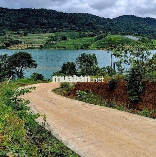 Cắt lỗ 40% giá trị đất 1000m2 sang tên nhanh, view có hồ và rừng thông