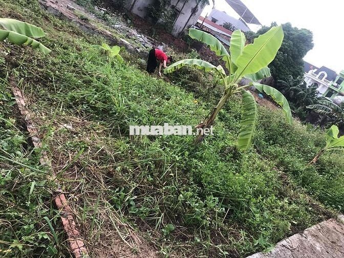 Chuyển về quê sống mình cần nhượng đất 48,9m nở hậu huyện Thanh Trì cu