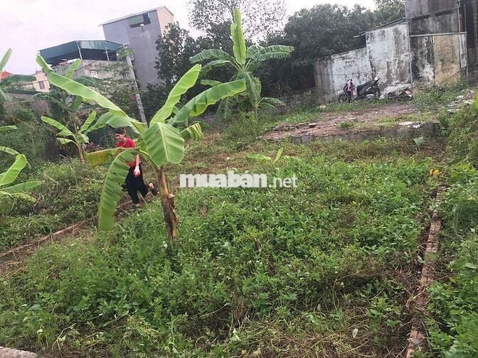 Chuyển về quê sống mình cần nhượng đất 48,9m nở hậu huyện Thanh Trì cu