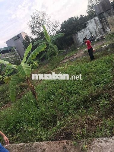 Chuyển về quê sống mình cần nhượng đất 48,9m nở hậu huyện Thanh Trì cu