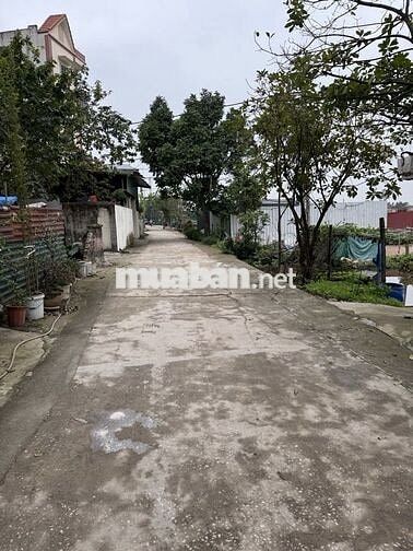 Bán gấp Đất Đại Áng ô tô ngủ trong đất ,ngõ thông ,giá đầu tư 5.6 tỷ Bán gấp Đất Đại Áng ô tô ngủ trong đất ,ngõ thông ,giá đầu tư 5.6 tỷ