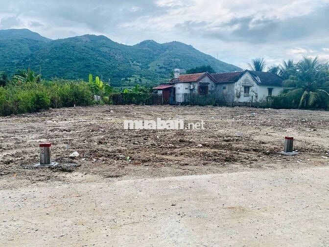 Đất Dân Cắt Bán Diên Điền , DT 141m full Thổ giá 899tr, Đường Qh 10m