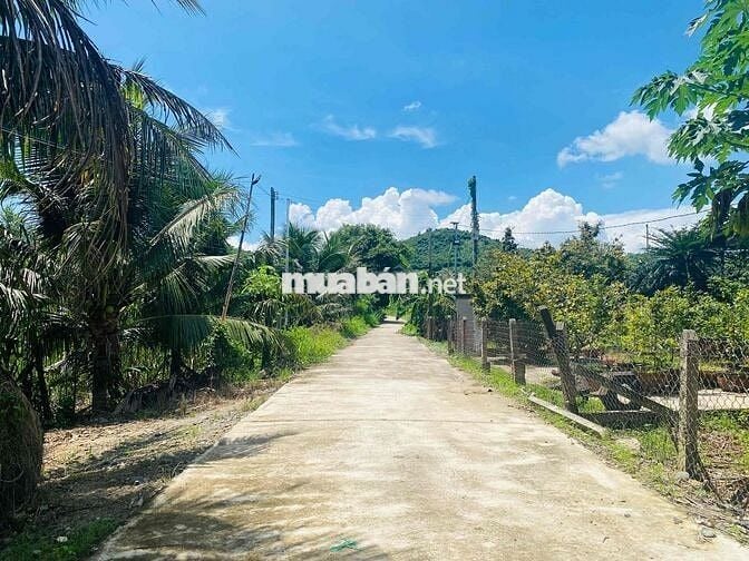 Bán lô đất vườn thổ cư Diên Thọ gần TL2 dt 300m giá 5tr/m, ngang 10m