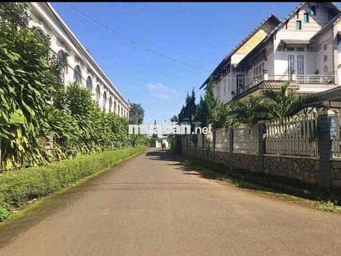 Cắt lỗ 40% giá trị đất 1000m2 sang tên nhanh, view có hồ và rừng thông