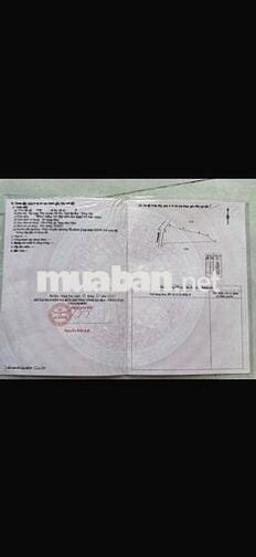 Định cư nước ngoài  bán gấp miếng đất đẹp ngay cạnh KCN Đá Bạc HCM