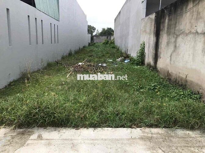 bán đất Mỹ Lệ ql50 gần chợ Trạm 125m2 3.3t