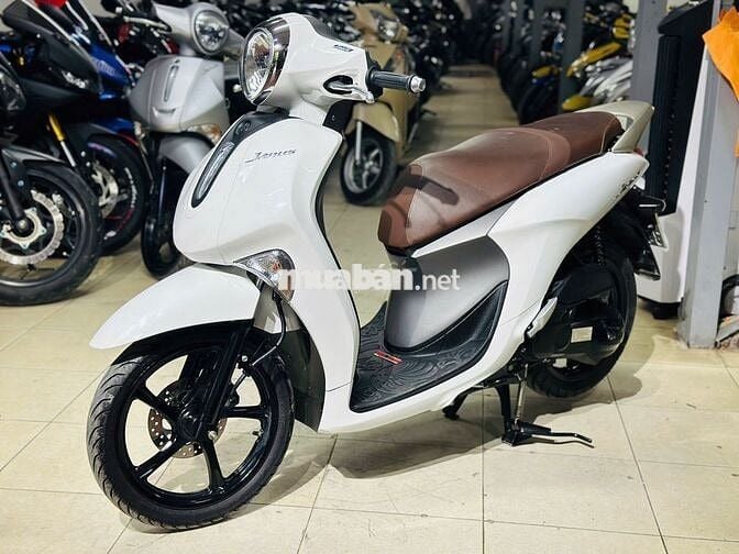 XE MÁY THỊNH PHÁT - JANUS SIÊU LƯỚT 1800KM ĐỜI MỚI