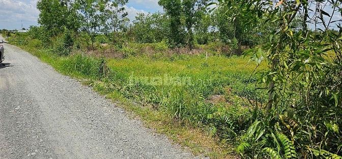 CẦN Bán Thổ Vườn 745m²(375m² thổ) mặt tiền kênh 8m(15m×50m)