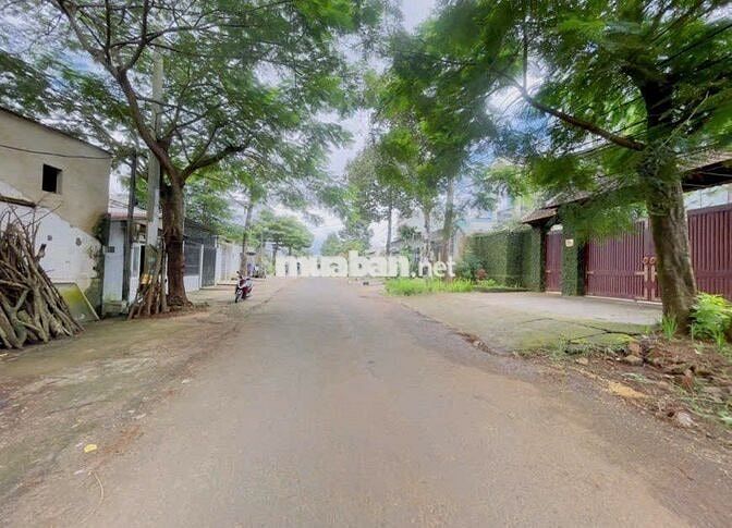Bán GẤP Lô Đất Tiềm Năng Mặt tiền Nguyễn Trung Trực Trung tâm TPPleiku
