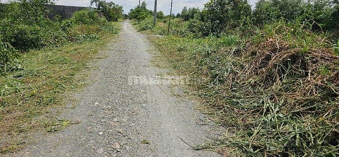 CẦN Bán Thổ Vườn 745m²(375m² thổ) mặt tiền kênh 8m(15m×50m)