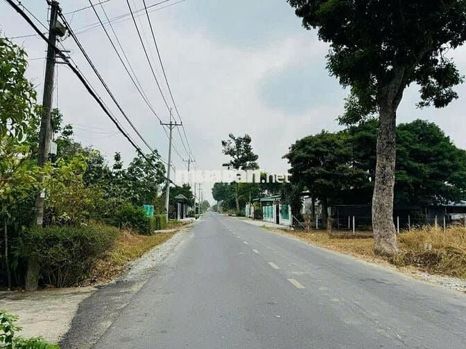 (HÀNG HIẾM) THANH LÝ GẤP LÔ ĐẤT THỔ CƯ 250m2 MẶT TIỀN ĐƯỜNG ĐẸP
