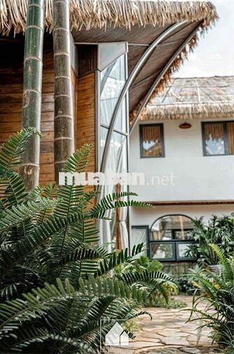 Bán Homestay cực vip ngay trung tâm BMT