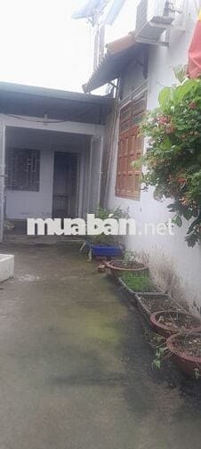 Cho Thuê Nhà Nguyên Căn  4 phòng ngủ, gần Go Dĩ An, Ql1k, Thủ Đức