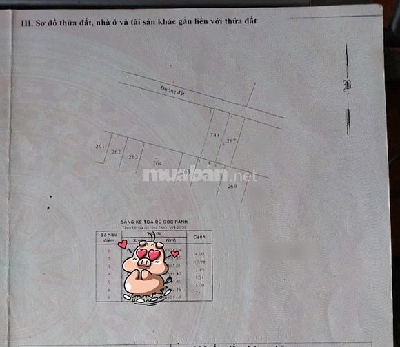 Hẻm Nguyễn Thị Đành quy hoạch đất ở 4x13 giá 600 triệu sang tên ngay