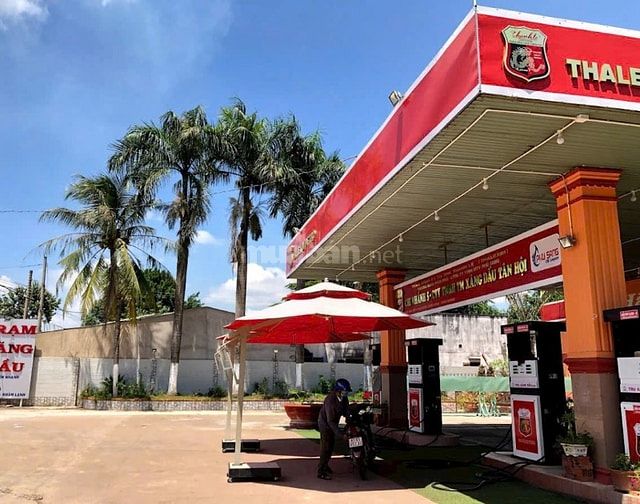 KẸT TIỀN BÁN GẤP 20X40=800M2 ĐẤT THỔ CƯ SHR SÁT CHỢ, TR.HỌC. GIÁ 170TR