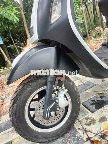Xe 50cc học sinh