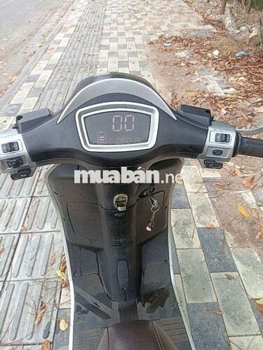 Xe 50cc học sinh