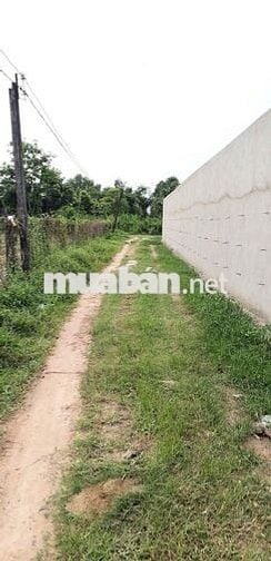 Cần tiền bán gấp 314m2 có 200 thổ, Phường An Tịnh, giáp ranh Thái Mỹ