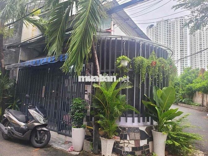 Cho Thuê Căn Nhà Hẻm 793 trần xuân soạn P Tân Hưng Q7 TPHCM