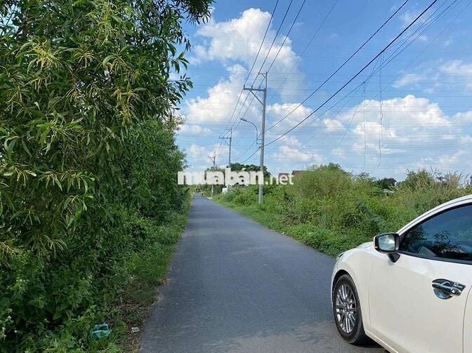 Tôi Bán Nhanh Đất MT đường nhựa Trung Lập Hạ Củ Chi. Giá 1tỷ730/157m2