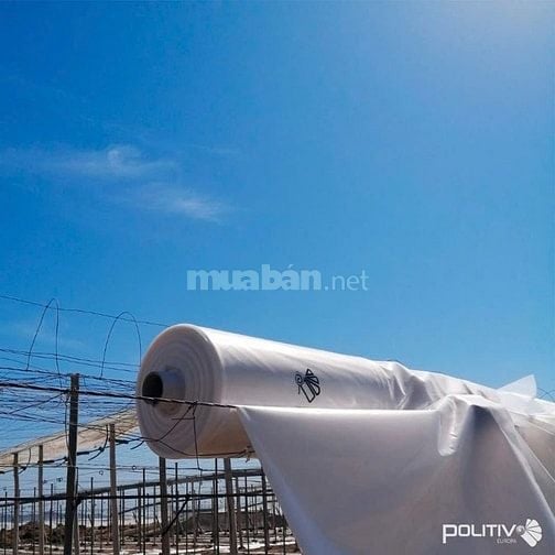 Màng nhà kính Politiv Israel chất lượng tốt nhất thế giới