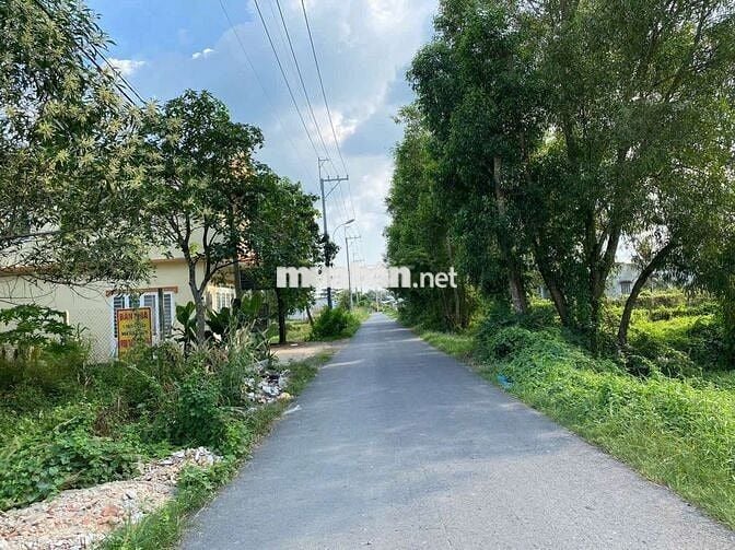 Tôi Bán Nhanh Đất MT đường nhựa Trung Lập Hạ Củ Chi. Giá 1tỷ730/157m2