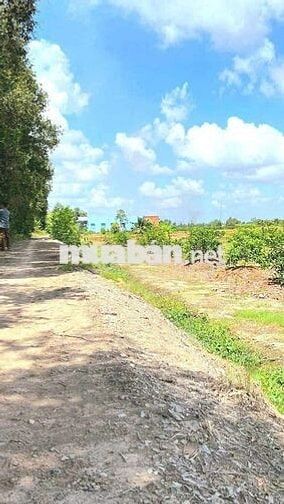 Quá đẹp, 1000m2 đất có 240m2 thổ cư View Kênh cực đẹp