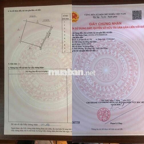 LÔ ĐẤT VỊ TRÍ ĐẸP TẠI  Quốc Lộ 1A , Xã Sông Lũy, Huyện Bắc Bình, Bình