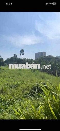 Lô đất lớn gần 3000m2, 2072m2 Thổ cư, 916m2 Đất lúa.