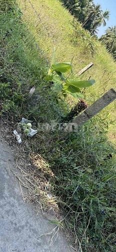 Cần Bán Gấp Lô Đất Mặt Tiền QL50