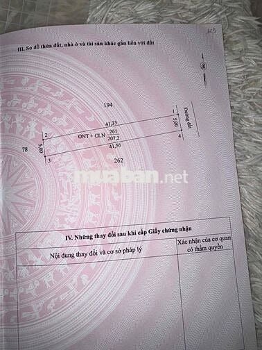 Đất Tân Châu Tây Ninh diện tích 207m2 ( 5x41) đường đất