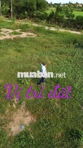 Đất thổ cư Thủ Thừa Long An cũ