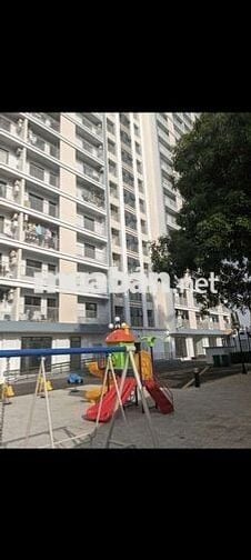 Bố đơn thân bán rẻ về quê ,49,2 m2, bao sổ hồng: 1,1 tỷ