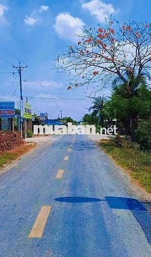 Đất thổ cư Thủ Thừa Long An cũ