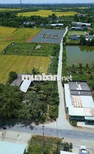 Đất thổ cư Thủ Thừa Long An cũ