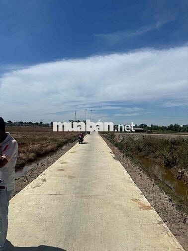 Bán Lô Đất Thỏi Cư Đường Số 8 xã Lý Nhơn huyện Cần Giờ TPHCM