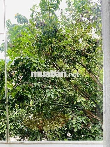 Căn hộ studio 45m2 Sơn Trà, sàn gỗ, nội thất sịn