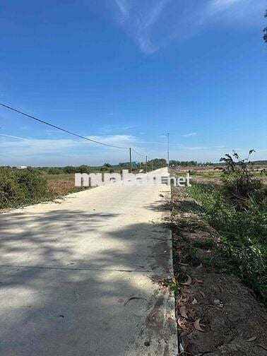 Bán Lô Đất Thỏi Cư Đường Số 8 xã Lý Nhơn huyện Cần Giờ TPHCM